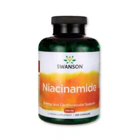 Swanson Niacinamid 500 mg 250 Kapseln Vitamin B3