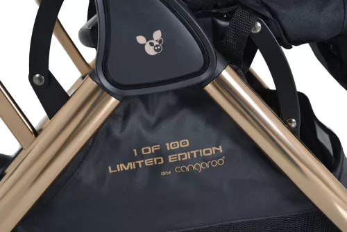 Cangaroo Easy Fold Kinderwagen, einfach zusammenklappbar, limitierte Auflage, schwarz