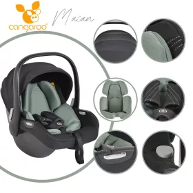 Cangaroo Macan/Hydra Autotransporter i-Size grün