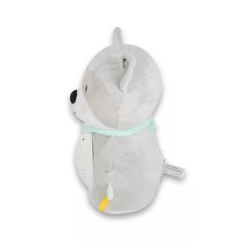 LAMPE Nachtlampe WASCHBÄR Plüsch PROJEKTOR