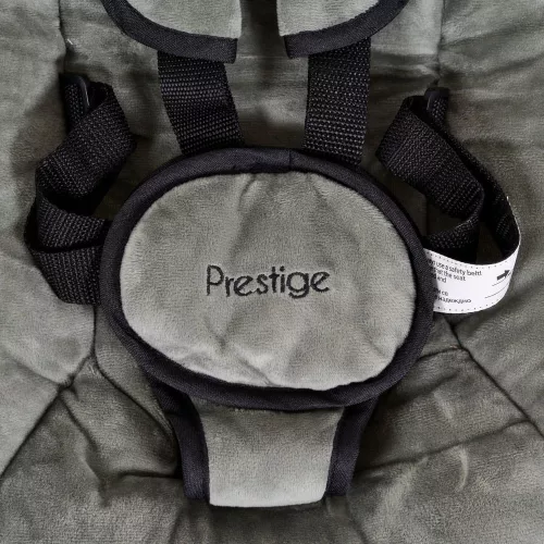 CANGAROO PRESTIGE elektrische Schaukel GRÜN