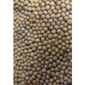   Paleolit ​​Senfkörner, ganz, gelb, 25 kg Saft, Weißer Senf – Sinapis Alba
