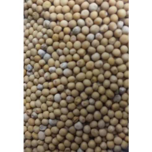 Paleolit Mustármag egész sárga 25kg lédig White mustard - Sinapis Alba