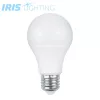 LED svetelný zdroj Iris Lighting E27 A60 9W/4000K/810lm
