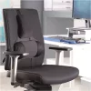 Fellowes 8041801 Professional Series Ultimate Rückenlehne