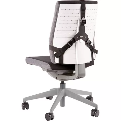 Fellowes 8041801 Professional Series Ultimate Rückenlehne