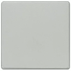 Siemens 5TG6241 DELTA I-SYSTEM alumínium 1-es billentyű