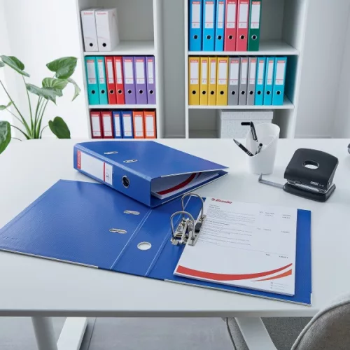 Esselte Standard A4 5cm rózsaszín iratrendező