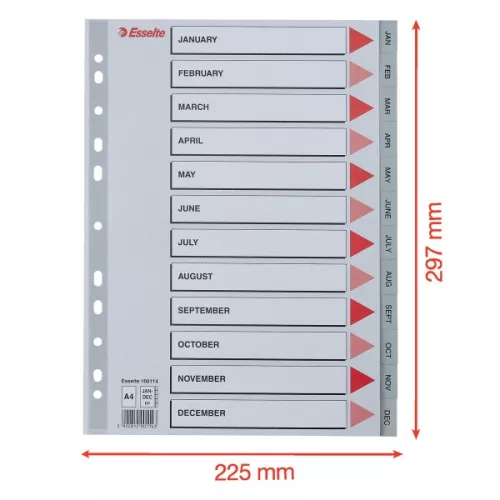 Esselte A4 12 hónapos műanyag regiszter