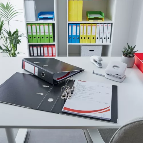Esselte Standard Vivida A4 5cm fekete iratrendező