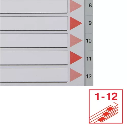 Esselte A4 1-12 műanyag regiszter