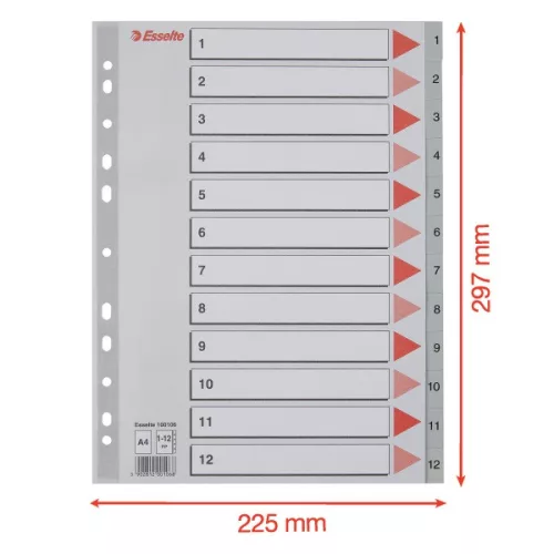 Esselte A4 1-12 műanyag regiszter