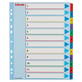 Esselte A4 extra széles 1-12 újraírható regiszter
