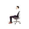 Fellowes 8029901 Professional Series Mesh-Rückenlehne