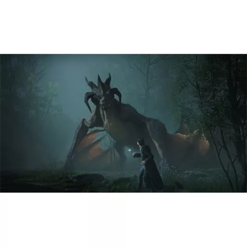 Hogwarts Legacy PS5-Spielsoftware