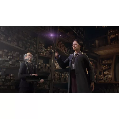 Hogwarts Legacy PS5-Spielsoftware