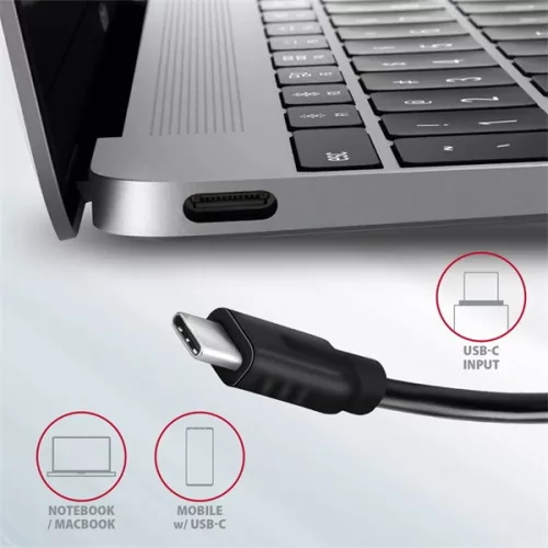 Axagon HMC-4G2 4-portový USB 3.2. Gen 2 strieborno-čierny HUB