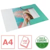 Esselte ColourBreeze kartonska zelena gumena mapa