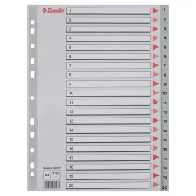 Esselte A4 1-20 műanyag regiszter