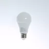 LED svetelný zdroj Iris Lighting E27 A60 12W/3000K/1080lm