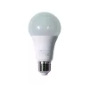 LED svetelný zdroj Iris Lighting E27 A65 15W/3000K/1380lm