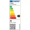 Žiarovka Iris Lighting Filament Longtip E14 FLCT35 4W/3000K/360lm zlatá sviečková LED žiarovka