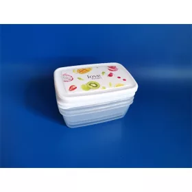 Set de 3 cutii de depozitare IRIS ARIA, 3x1.200ml