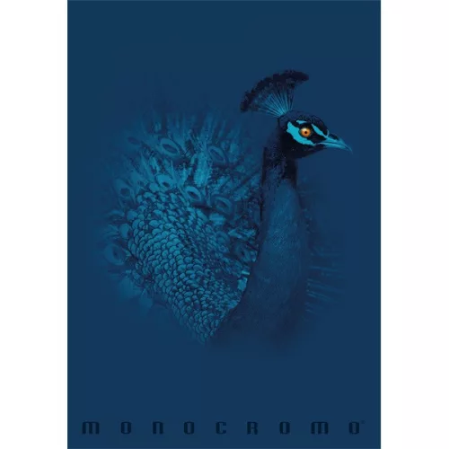 Pigna Monocromo Blue A4 tűzött 38 lapos kockás füzet