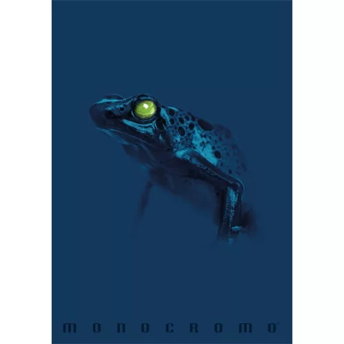 Pigna Monocromo Blue A4 tűzött 38 lapos kockás füzet