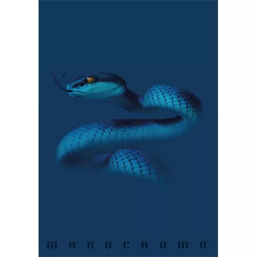 Pigna Monocromo Blue A4 tűzött 38 lapos vonalas füzet