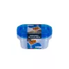 TOO KT-077 Set de 3 cutii dreptunghiulare pentru depozitarea alimentelor, 500 ml