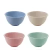 TOO KT-106 Set de 5 boluri din plastic, din paie de grâu, culori mixte, 17×9 cm
