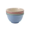 TOO KT-106 Set de 5 boluri din plastic, din paie de grâu, culori mixte, 17×9 cm