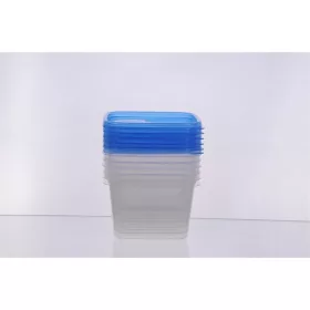   Set de 6 cutii pătrate pentru depozitarea alimentelor TOO KT-152, 1.000 ml