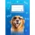 ICO Süni Dogs A5 leckefüzet
