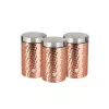 Set de depozitare Berlinger Haus BH/6727 auriu roz, format din 3 piese