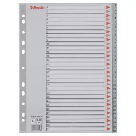 Esselte A4  1-31 műanyag regiszter