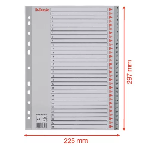 Esselte A4  1-31 műanyag regiszter