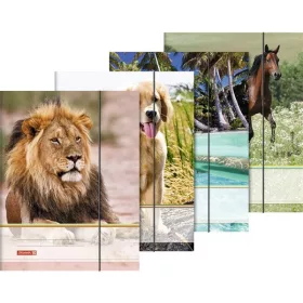 Brunnen animal A4 gumena mapa