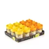 Storcător de lămâie IRIS C-00136 Fresia cu recipient din sticlă 425 ml, portocaliu sau galben lămâie