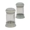 Set de 2 shakere de condimente din sticlă IRIS Macaron Salt&Pepper, 105 ml, roz, alb, gri sau albastru HN-1139