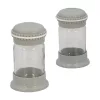 Set de 2 shakere de condimente din sticlă IRIS Macaron Salt&Pepper, 105 ml, roz, alb, gri sau albastru HN-1139