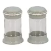 Set de 2 shakere de condimente din sticlă IRIS Macaron Salt&Pepper, 105 ml, roz, alb, gri sau albastru HN-1139