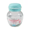 Borcan de condimente din sticlă IRIS Macaron 370ml, verde, fuchsia, portocaliu sau galben lămâie HN-1215