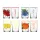Pahar de sticlă cu model IRIS 520ml, model cu afine, lămâie sau portocale 131701-000