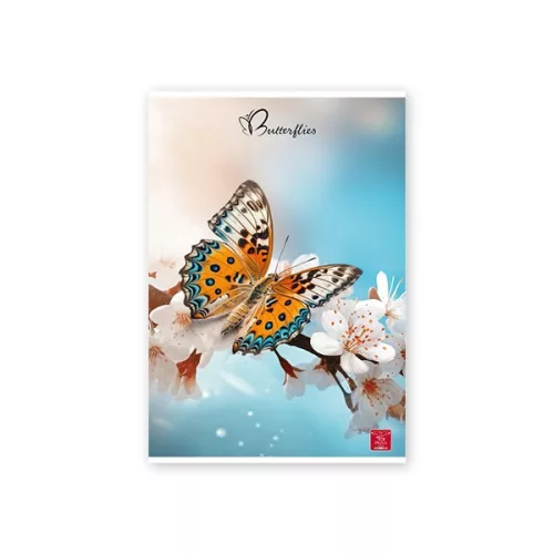 Pigna Butterflies A4 42 lap, tűzött, kockás füzet
