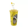 Pahar IRIS CUTE cu pai 650ml AP-9128
