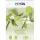 Heyda Green A4 kartonski set od 20 listova