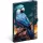Realsystem Parrot 5416 keményfedeles notesz