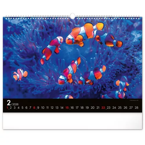 Realsystem 2026 Ocean 6094 falinaptár